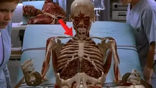 Thumbnail: The Human Body Revealed Layer by Layer 😱 | Incredible Anatomy Transformation Explained