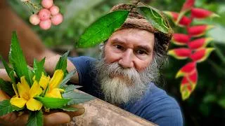 Thumbnail: Jamaica’s Most Bio-Diverse Farmer! Rare Fruits & Medicinal Herbs