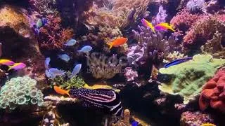 Thumbnail: Ocean Destinations Around the World.
