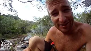Thumbnail: Dingos surrounded the Camp