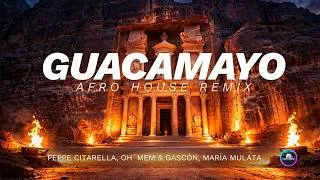 Thumbnail: Peppe Citarella, Oh´Mem & Gascón, Maria Mulata - Guacamayo | Afro House Remix By RavemMusic