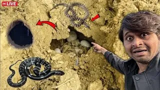 Thumbnail: 😱 Real Zinda SNAKE 🐍 Dekh Liya First Time ? 101% Real 