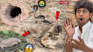 Thumbnail: Real Junglee Dragon Lizard Ne Snake Pakad Liya?😰