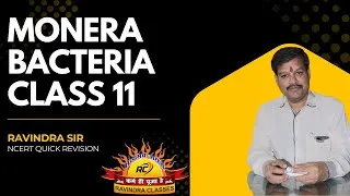 Thumbnail: Monera – Bacteria | Class 11 Biology | NCERT Quick Revision