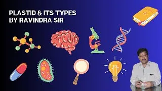Thumbnail: Plastids Explained in Detail | Types, Functions & Structure | Class 9-12 Biology | Easy Explanation