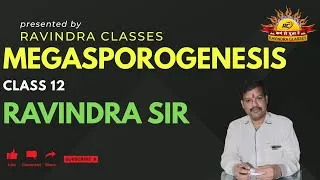 Thumbnail: Megasporogenesis EXPLAINED in Simple Terms for NEET & CBSE Biology