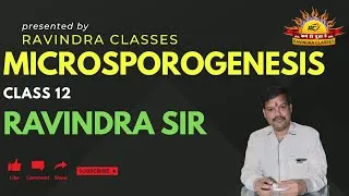 Thumbnail: Microsporogenesis Class 12 | Easy Explanation with Diagram | NEET & Board Preparation #bio #neet