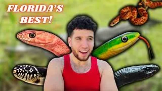 Thumbnail: Top 10 Florida Snakes!