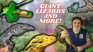 Thumbnail: UNREAL Reptile Room Tour at Mike's Monitors!