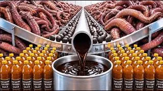 Thumbnail: How Millions of Earthworms Become Vietnam’s Rarest Dipping Sauce | Full Process