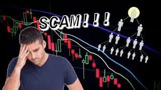 Thumbnail: How to earn from Pyramid Schemes? EXPLAINED!