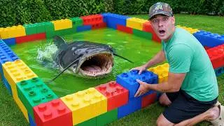 Thumbnail: I Built A GIANT Lego Pond For The Pond Monster!