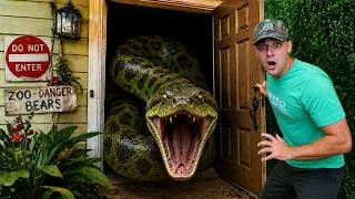 Thumbnail: I Turned My House Into A Zoo