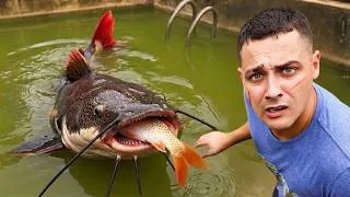 Thumbnail: Saving My Fish From The Pond Monster!