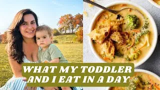 Thumbnail: What My Toddler and I Eat in a Day // Simple Vegan Recipes