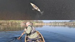 Thumbnail: Tight Turns in a Canoe: the Outside Pivot Turn
