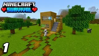 Thumbnail: My Crazy Start in Minecraft Survival PE 🔥 || Minecraft PE Survival Series EP:-1 [Hindi]