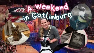 Thumbnail: wedding anniversary and a cozy weekend away || long-weekend READING VLOG