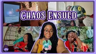Thumbnail: A Cozy Reading Vlog 📚✨ | Reading Sprints, New Books & Bookish Chaos
