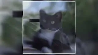 Thumbnail: LANC̦A NA MÃO (Super Slowed)