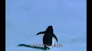 Thumbnail: The Penguin Mountain Song - Gigi D'Agostino L'Amour Toujours | Organ Version Slowed