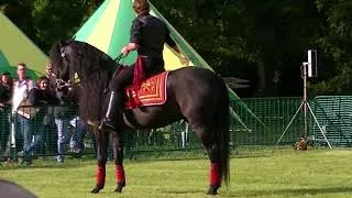 Thumbnail: Amazing Footage of a Falcon Bird of Prey Flying Under a Horse