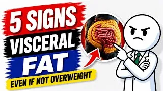 Thumbnail: 5 Signs You Might Have Visceral Fat ( Even If You Are Not Overweight )