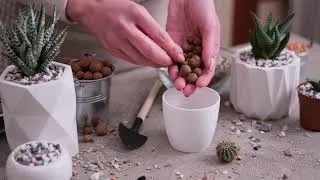 Thumbnail: How-To: Prepare Pangea Aqua Balls