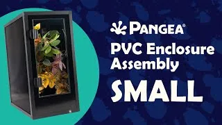 Thumbnail: How to assemble the Pangea Small Arboreal PVC Enclosure (2025 Version)