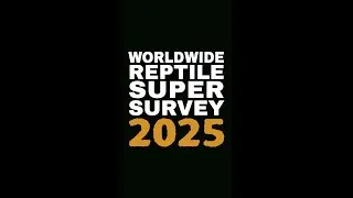 Thumbnail: Follow the link in our description to take RRK's Worldwide Reptile Super Survey!