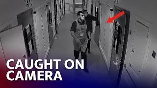 Thumbnail: "Where Are The Drugs?": Violent Gang Attacks Innocent Family