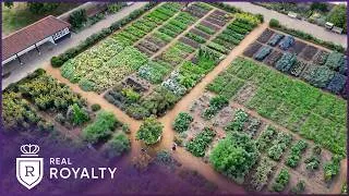 Thumbnail: Inside Hampton Court Palace: The Secret History Of The Royal Kitchen Gardens