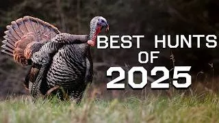 Thumbnail: Best Turkey Hunts of 2025 | Action Packed Turkey Hunting