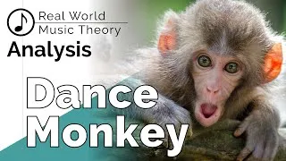 Thumbnail: Music Theory Analysis: Dance Monkey by Tones and I (Part 1)