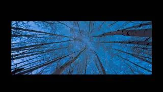 Thumbnail: Bob Holroyd and Simon Painter - All Over Again