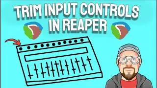 Thumbnail: Trim Input Controls in REAPER