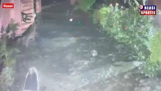 Thumbnail: Leopard vs Dog - Leopard Spotted at Trintha, Reasi in the mid-night of Friday & Saturday