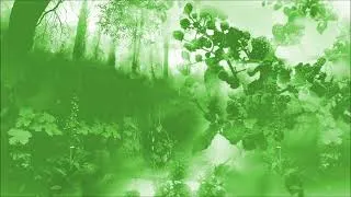 Thumbnail: DKC2 Forest Interlude & Stickerbush Symphony Orchestral Remix EXTENDED