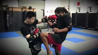 Thumbnail: Muay Thai Video Collage