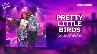 Thumbnail: Sza, Isaiah Rashad - Pretty Little Birds (Lyrics)