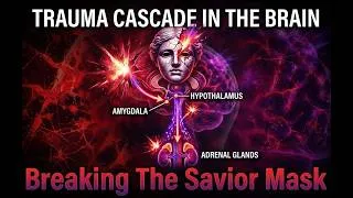 Thumbnail: episode one trauma cascade