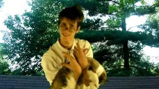 Thumbnail: Do Cats Always Land on Their Feet? (MythBusters Parody)
