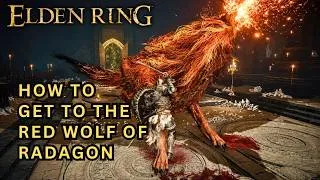 Thumbnail: Full Route to the Red Wolf of Radagon in Raya Lucaria Academy in ELDEN RING