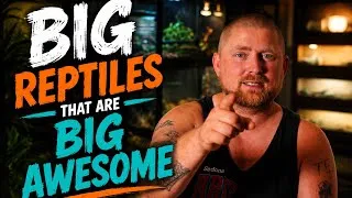 Thumbnail: Big Reptiles That Are Big Awesome 