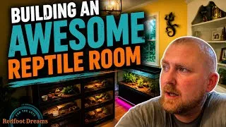 Thumbnail: Building an awesome reptile room 