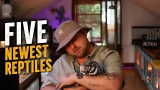 Thumbnail: 5 New Reptiles 