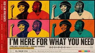Thumbnail: Thelma Houston – I’m Here Again (Red Lab Powerhouse Disco Rework)