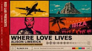 Thumbnail: Alison Limerick - Where Love Lives | Downtempo DJ Rework