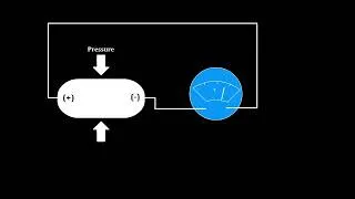 Thumbnail: Piezoelectric effect from the perspective of ultrasonography | Redmedbd