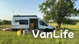 Thumbnail: Solo Van Life with My Dog — Off-Grid Camping in a Wildflower Field Under the Stars